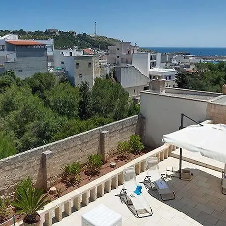 فيلة Anchora *