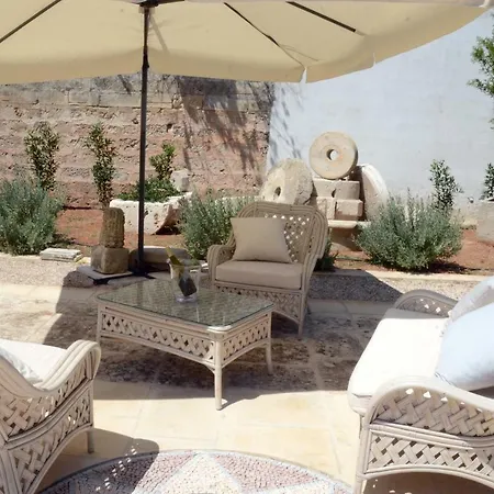 فيلة Anchora *